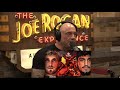 Joe Rogan on Logan Paul vs Dillon Danis