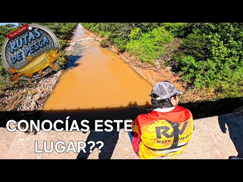 🔥MUCHA PESCA 🎣🔥😱 CANAL DE LOS PUESTOS Y ARROYO MISTA, PESCA, COCINA Y AVENTURA