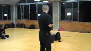 The audio may possibly be fake but don't let that get in the way of a good Tasering video.