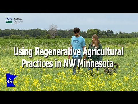 Using Regenerative Agricultural Practices in NW Minnesota