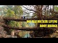 Double Decker Living Root Bridge Double Decker Bridge Meghalaya Shorts