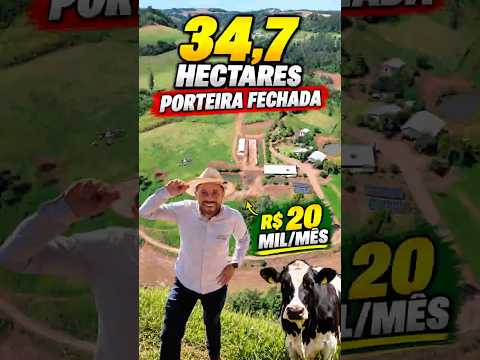 GRANJA PORTEIRA FECHADA | 34,7 HECTARES + 23 VACAS | SÃO JOÃO DO OESTE/SC