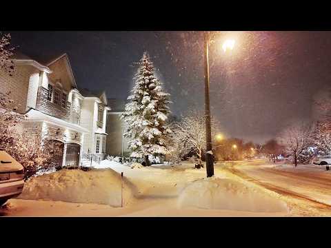 Snow Storm Walk at Night in Toronto Suburbs 4K Winter Night Walk