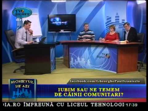 Sighetul de Azi 11 Aprilie -  Iubim sau ne temem de cainii comunitarii?