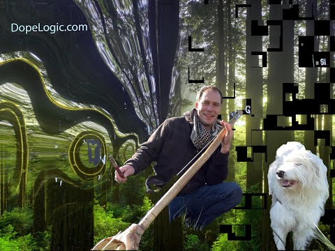 Infuzions Spontaneous 420 Event 2022 in Arcata, CA