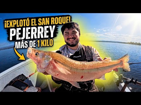 ¡RÉCORD DE PESCA! Pejerrey GIGANTE en el dique San Roque