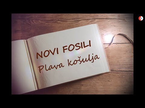 Novi Fosili - Plava košulja (Official lyric video)