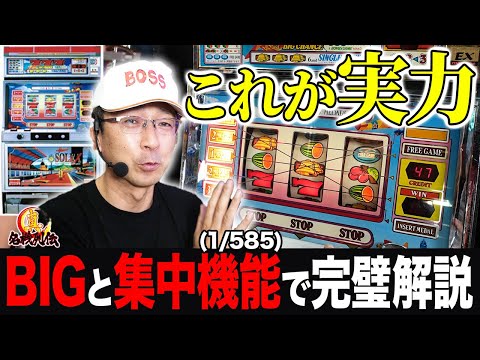 ソレックス2の動画