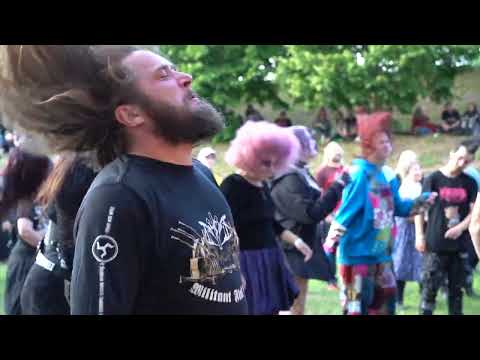 Strych:9 - Everyone, Everything (Live @ Punk & Rock Festival 20.07.2024)