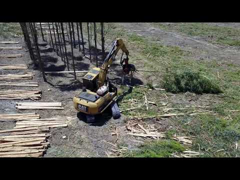 Timber harvesting in Manypeaks.