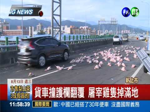 駕駛恍神撞護欄 飛落橋下撞頭亡