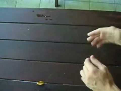 Creature  by Keith Lack/Arlen Studios - DVD at Penguin Magic