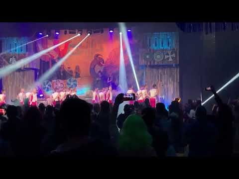 Rosa Sitzung 2020 - Autritt der Rosa Garde