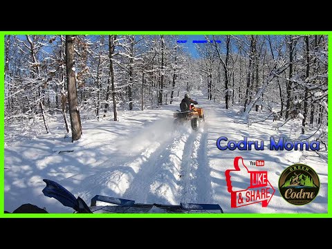 Muntii Codru Moma ( Green Codru ) ATV ❌ Riding ❌ Apuseni ❄️ Can Am ❄️ Polaris ❄️