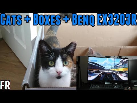 Cats, Boxes and The Benq EX3203R Monitor