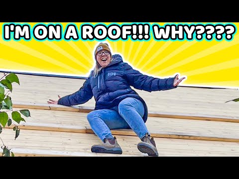 Witness21 Editor  2023 03 17