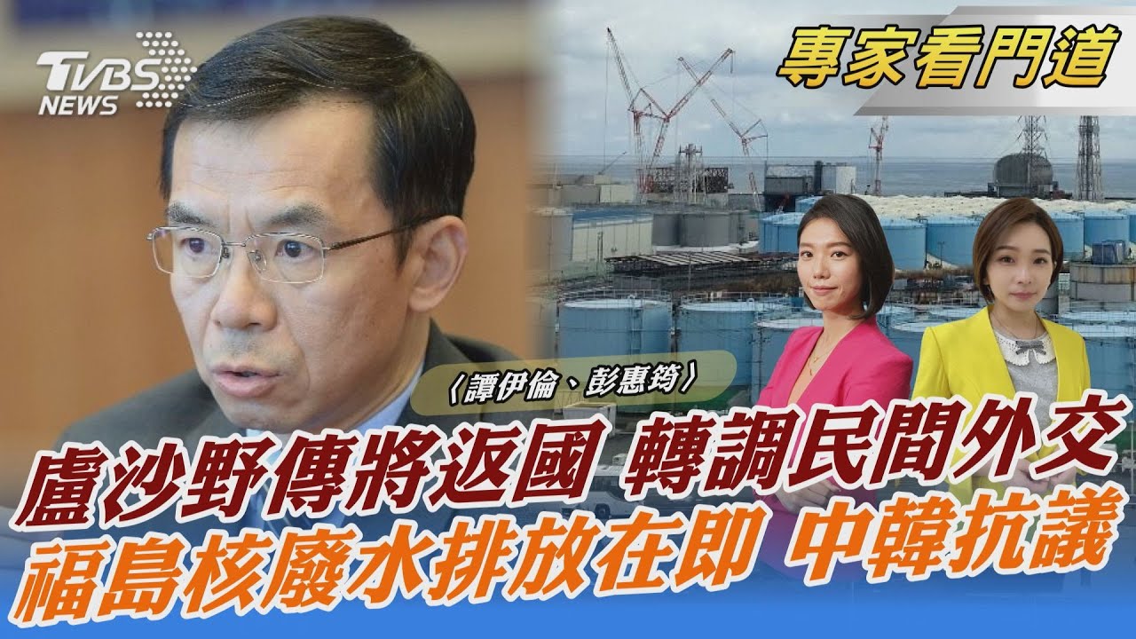 陸駐法大使盧沙野將返國 接掌對外友好協會