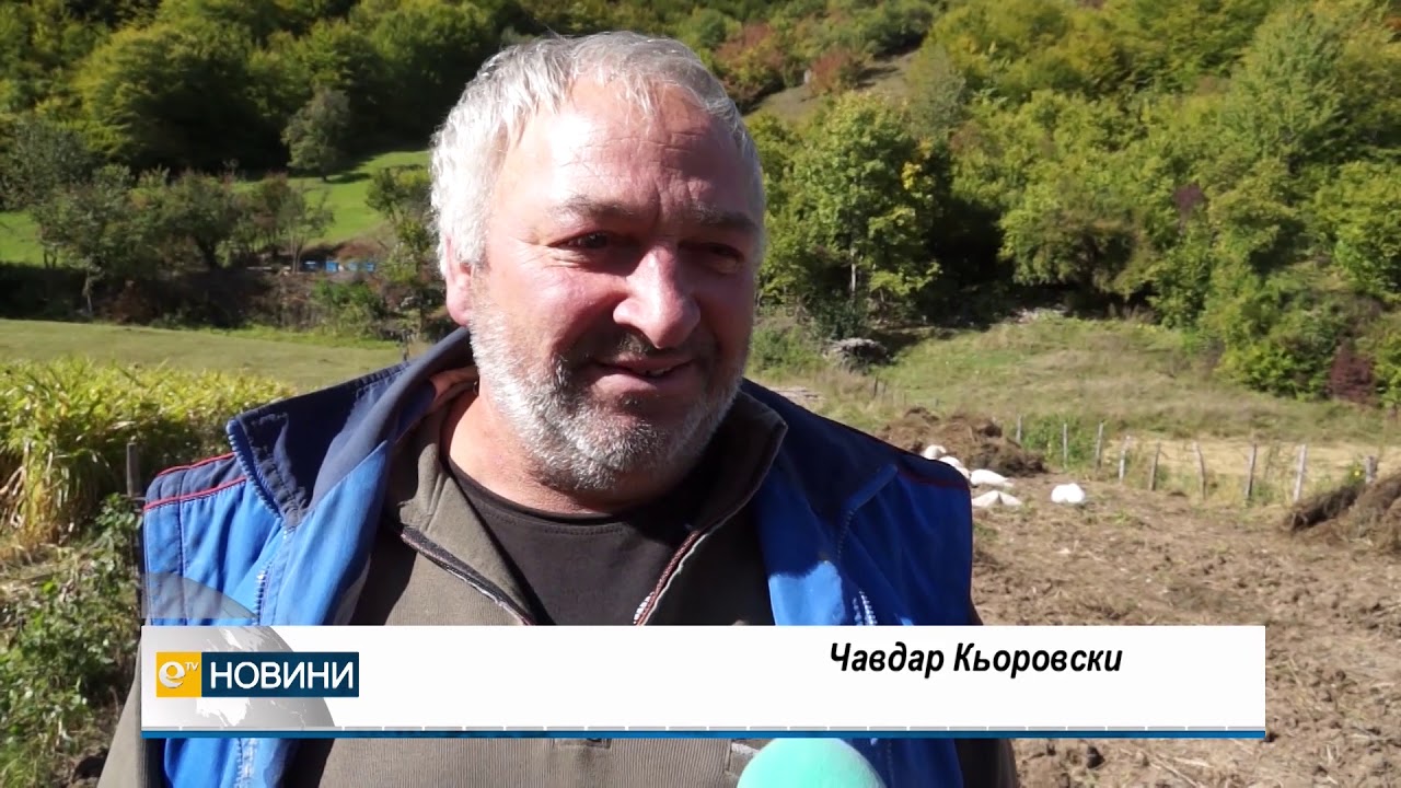 Родопските картофи са кът. Внимавайте какво предлагат на пазара!