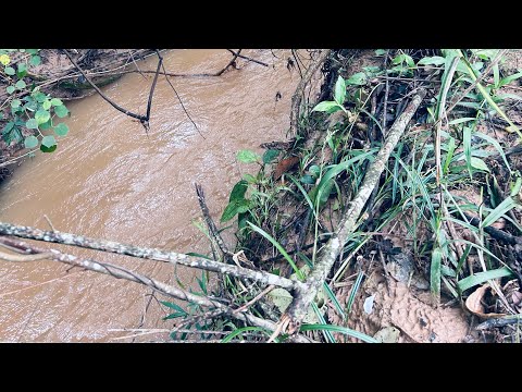 Chacara de 1.5 hectares apenas 6 km de Aragoiânia R$ 550.000,00