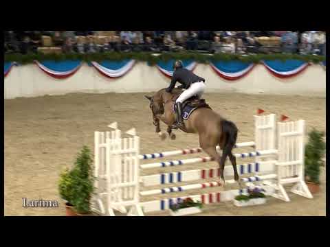 Holsteiner Verbandshengste 2019 - Larimar