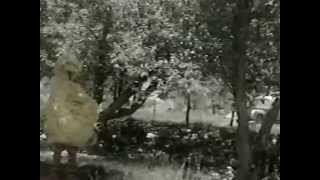 Sesame Street Episode #813: &quot;Why Should I Miss My Imaginary Friend?&quot;