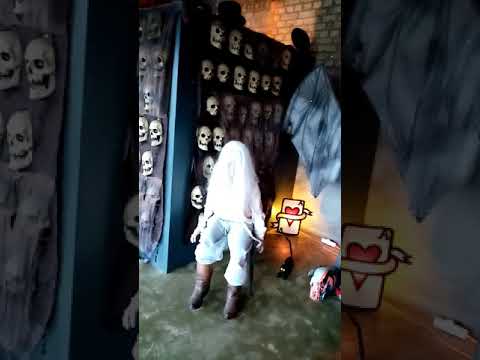 Lab 82 does all hollows evening...