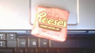 Resse cup singing meow mix song