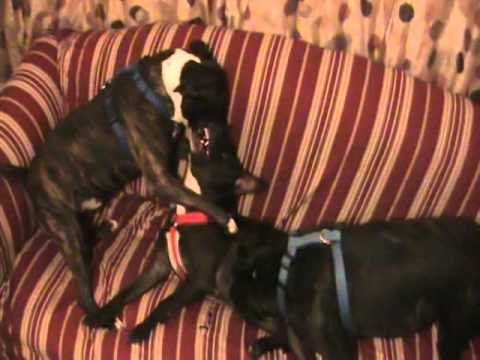 Project of Sat 23 Apr 2011 12:45:32 PM PDT