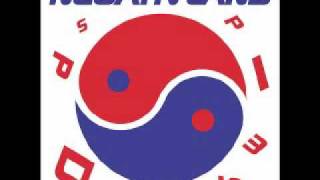 Why Is This Commercial? - Negativland