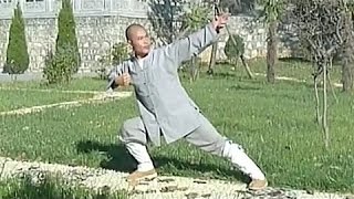 Shaolin 8-part internal kung fu (ba duan jin)
