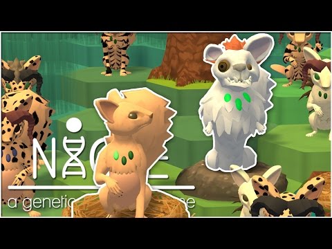 An Unexpected & Rude Guest in the Nest • Niche: Jungle Update - Episode #29 Video