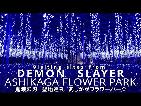 Ashikaga Flower Park Video