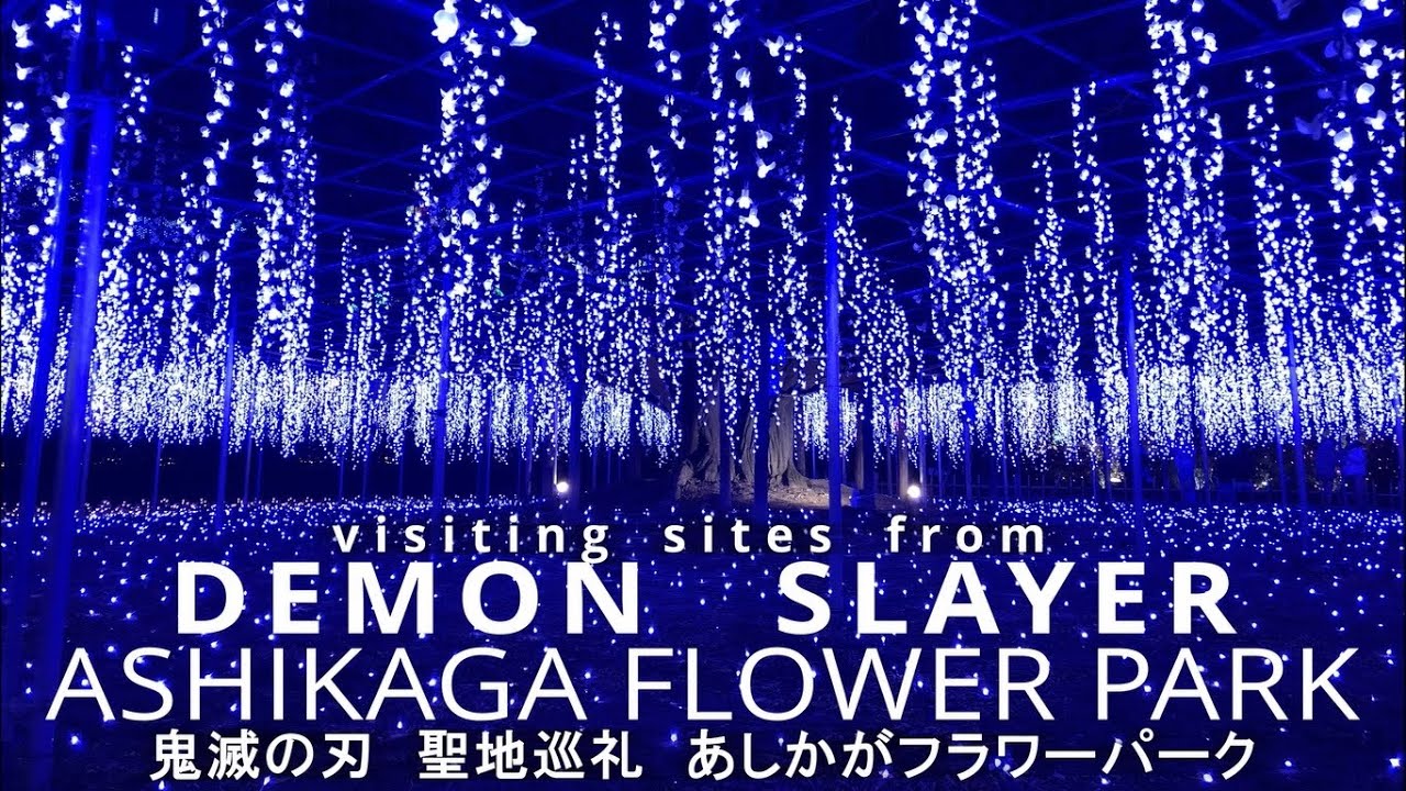 Ashikaga Flower Park Video