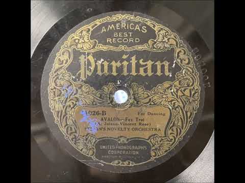 Selvin's Novelty Orchestra Avalon 1920 Society Dance Band 78 RPM
