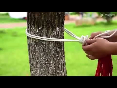 Hammock ležaljka 🌞🛌 – Savršeno opuštanje u prirodi ili dvorištu