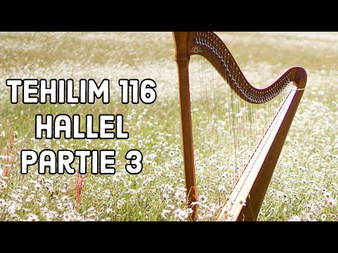 Rav David Benitah - Etude des Tehilim 116 (Hallel) 3e cours