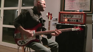 Video thumbnail for Rickenbacker 4001C64 plectrum by Dengia64