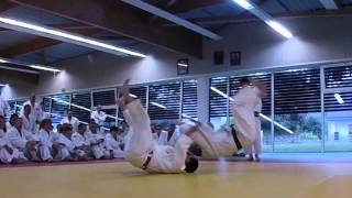 preview picture of video 'Stage Fouesnant Judo 2014'