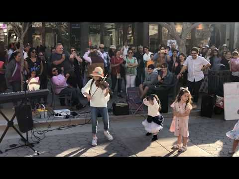 This Young Violinist Knows How to Get the Crowd Going