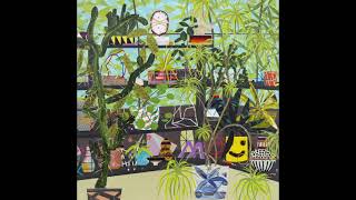 Deerhoof - Actually, You Can (Full Album) 2021