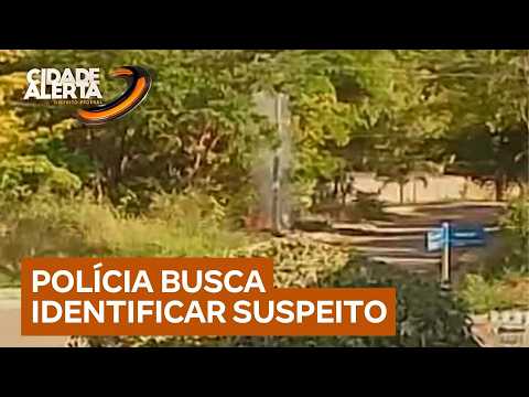 Homem é investigado por suspeita de provocar incêndio que destruiu vegetação | Cidade Alerta DF