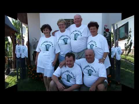 SINOČI SEM NA VASI BIL --MIX--      ANSAMBEL VITICA