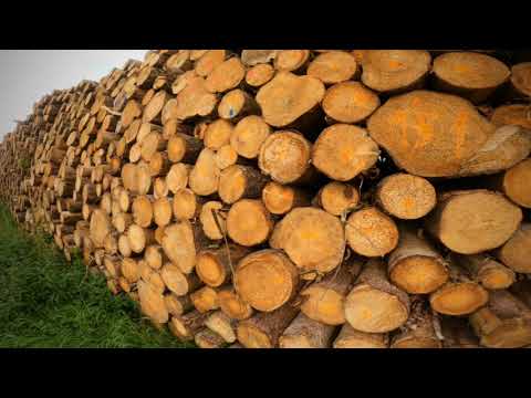 Mit Yoshi on Tour - Egau bei Ziertheim