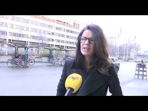 Terrorattentaten i Bryssel - detta har hänt