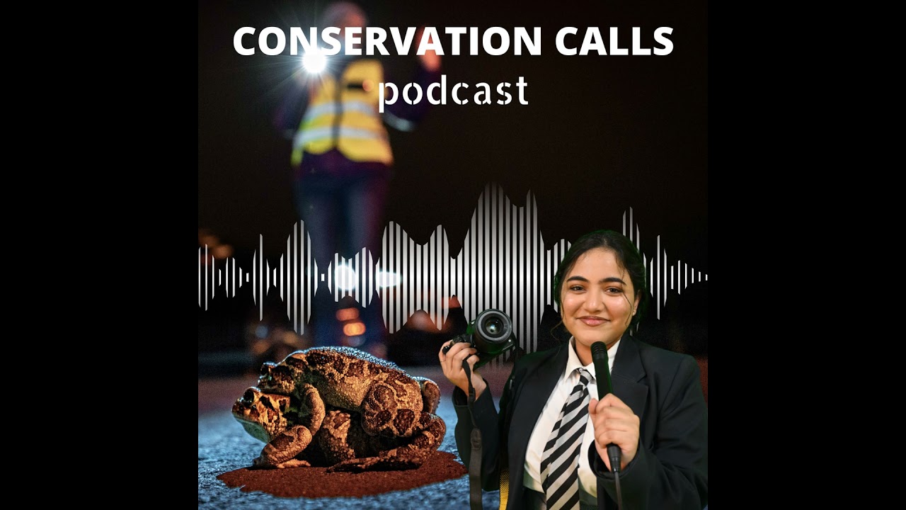 Toad Warriors: The Fight for South Africa's Amphibian Future!