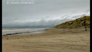 Søren &amp; De Sørgelige Rester - Stuck In The Bones (Daniel Norgren)