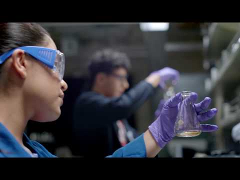 ACS Project SEED: turning local kids into science wizards