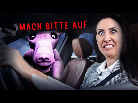 Lass es NICHT in dein Auto! EGAL wie süß es ist! The Bit More Know Zero!