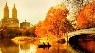 Dr. Bill Rhodes - Autumn In New York