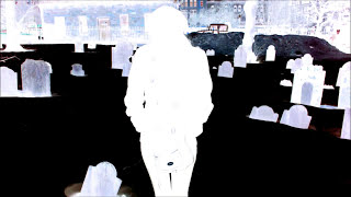 Flowers Under Ground